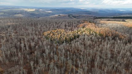 Property for sale in Tioga County, Pennsylvania