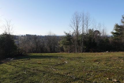 Timberland Property for sale in Carroll County, Virginia