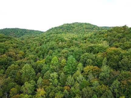 Hunting Land for sale in Scott County, Tennessee