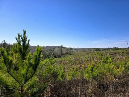 Undeveloped Land for sale in Perry County, Alabama