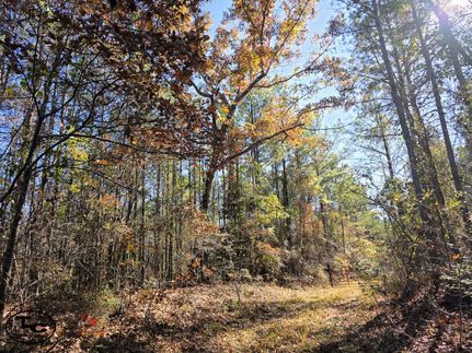 Property for sale in Perry County, Alabama
