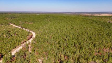 Hunting Land for sale in Kershaw County, South Carolina
