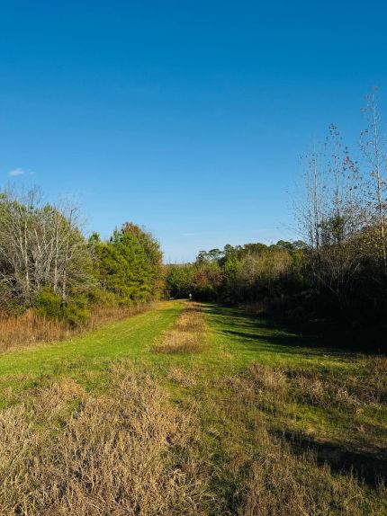 Recreational Property for sale in Attala County, Mississippi