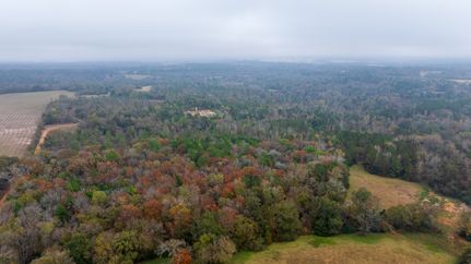 Hunting Land for sale in Anderson County, Texas
