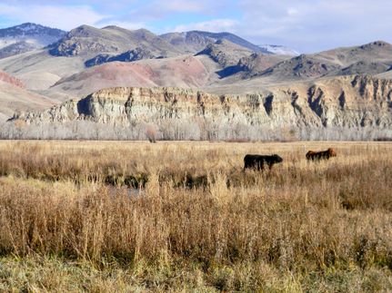 Property for sale in Custer County, Idaho