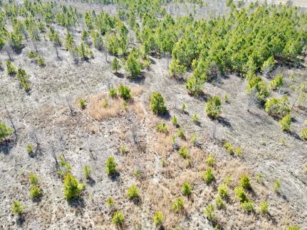 Undeveloped Land for sale in Woodruff County, Arkansas