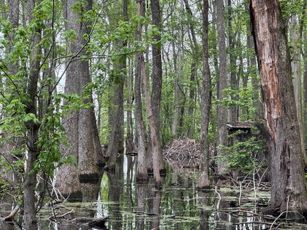 Property for sale in Woodruff County, Arkansas