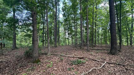 Property for sale in Sharp County, Arkansas