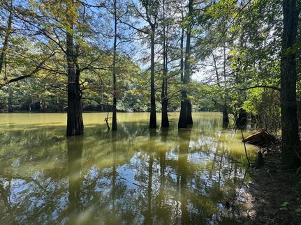 Ranch Property for sale in Woodruff County, Arkansas