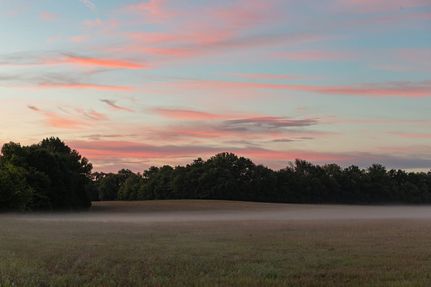 Property for sale in Williamson County, Tennessee