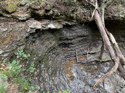 Property for sale in Van Buren County, Arkansas