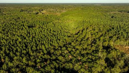 Property for sale in Jenkins County, Georgia