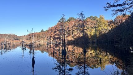 Undeveloped Land for sale in Darlington County, South Carolina