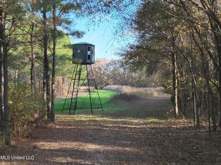 Property for sale in Yazoo County, Mississippi