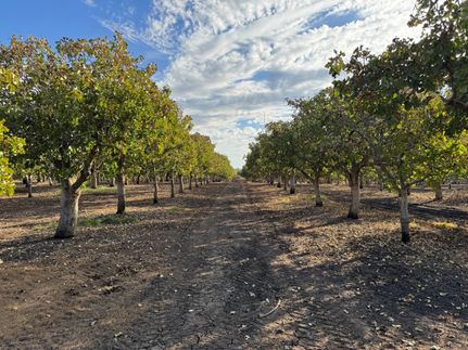 Property for sale in Tulare County, California