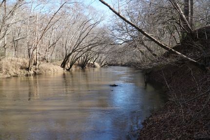 Riverfront Property for sale in Franklin County, Alabama