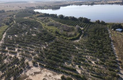 Ranch Property for sale in Polk County, Florida