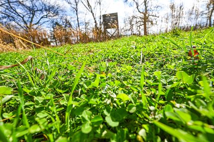 Property for sale in Douglas County, Missouri