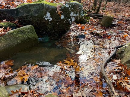 Property for sale in Carroll County, Arkansas