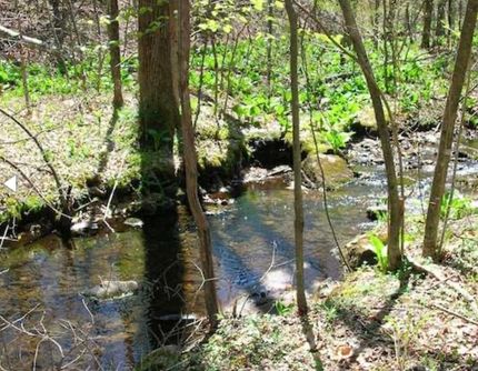 Property for sale in Trinity County, California