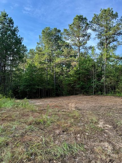 Property for sale in Winston County, Mississippi