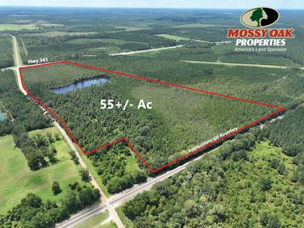Property for sale in Wayne County, Georgia