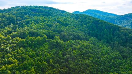 Property for sale in Greenville County, South Carolina