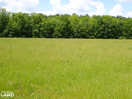 Property for sale in Wilcox County, Alabama