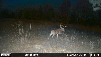 Waterfront Property for sale in Pontotoc County, Oklahoma