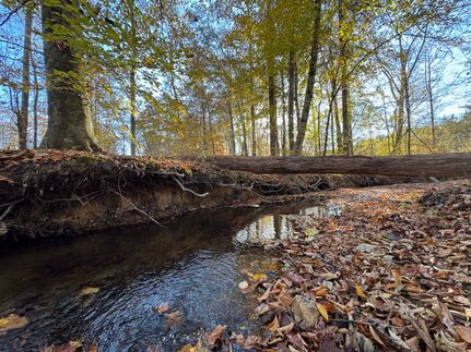 Hunting Land for sale in Tallapoosa County, Alabama