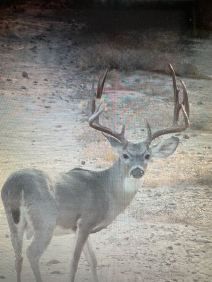 Property for sale in Duval County, Texas