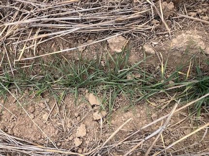 Hunting Land for sale in Adams County, Colorado