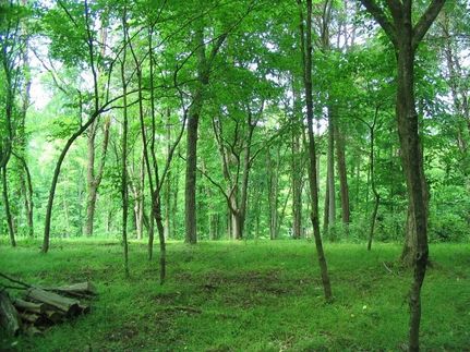 Property for sale in Hawkins County, Tennessee