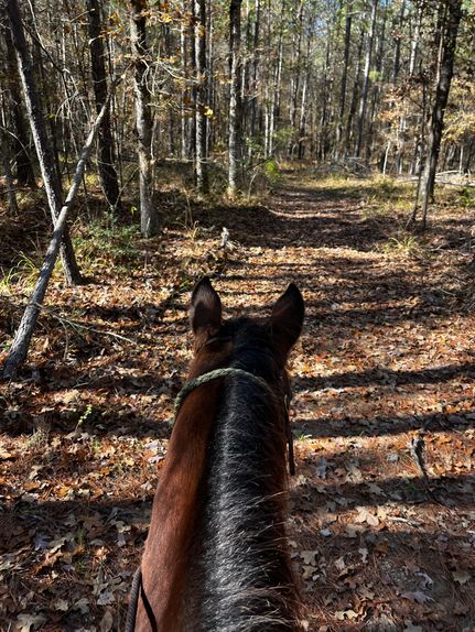 Recreational Property for sale in Webster Parish, Louisiana