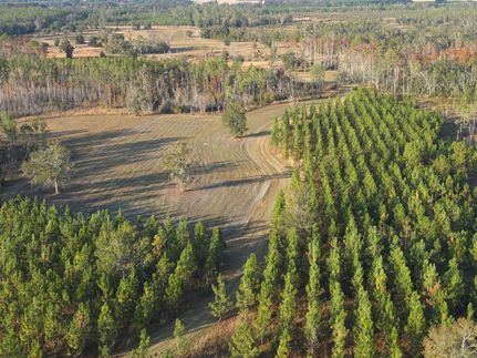 Farm Property for sale in Lafayette County, Florida