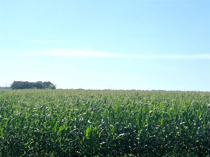 Property for sale in Wharton County, Texas