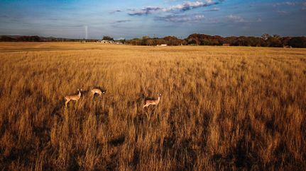 Undeveloped Land for sale in Kerr County, Texas