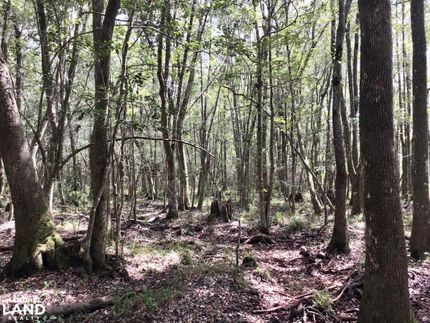 Timberland Property for sale in Washington County, Alabama