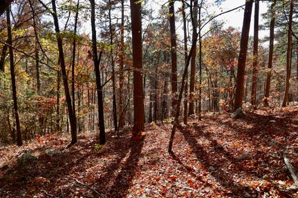 Property for sale in Le Flore County, Oklahoma