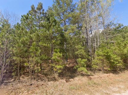 Property for sale in Randolph County, Alabama