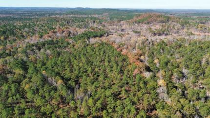 Property for sale in Fayette County, Alabama