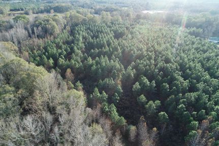 Timberland Property for sale in Crenshaw County, Alabama
