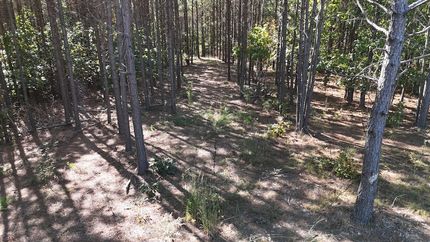 Property for sale in Lewis County, Tennessee