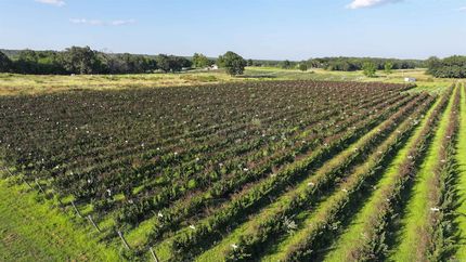 Undeveloped Land for sale in Pulaski County, Arkansas