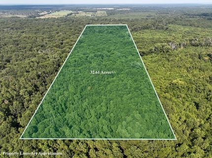 Undeveloped Land for sale in Shelby County, Texas