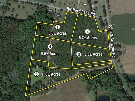 Property for sale in Tattnall County, Georgia