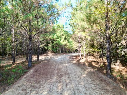 Hunting Land for sale in Pike County, Alabama