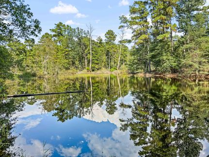 Property for sale in Tyler County, Texas