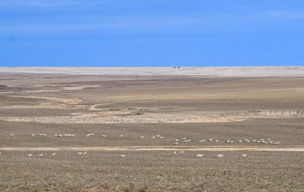 Property for sale in Otero County, Colorado