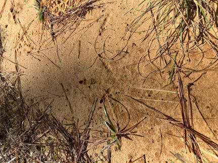 Property for sale in Clarke County, Mississippi